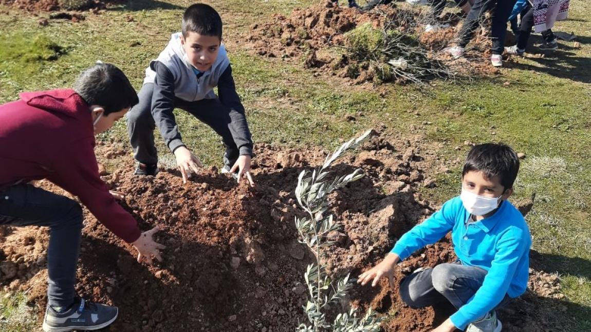 Kocaaliler İlk ve Ortaokulu Uygulama Bahçemiz